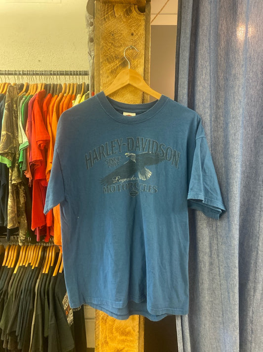 Vintage 2008 Harley Davidson couer d’alene Idaho blue graphic t-shirt - l